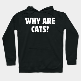 Why are cats? Hoodie